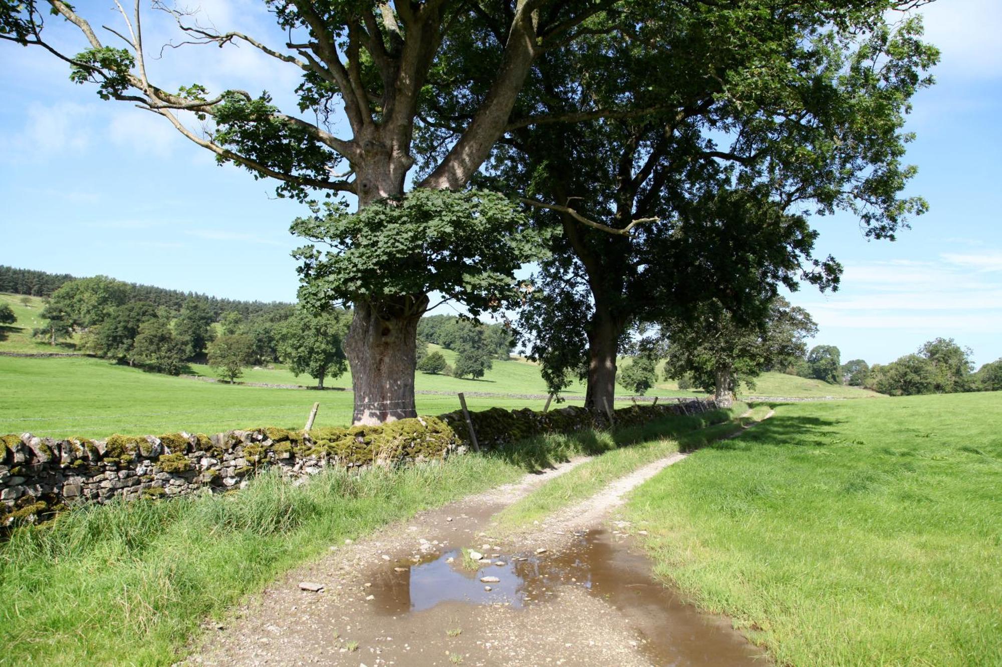 Green Grove Country House Malham Bagian luar foto